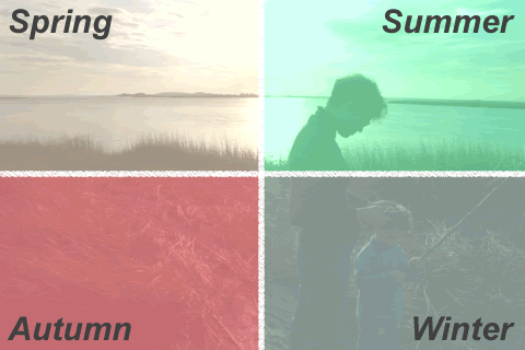 Spring/Summer/Autumn/Winter